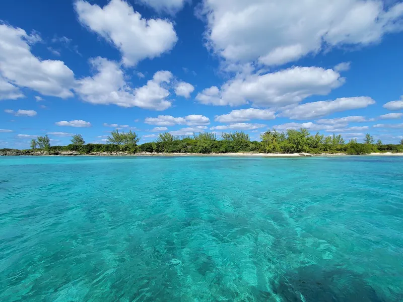 Green Cay Nassau — isleta salvaje de tortugas cerca de Nassau