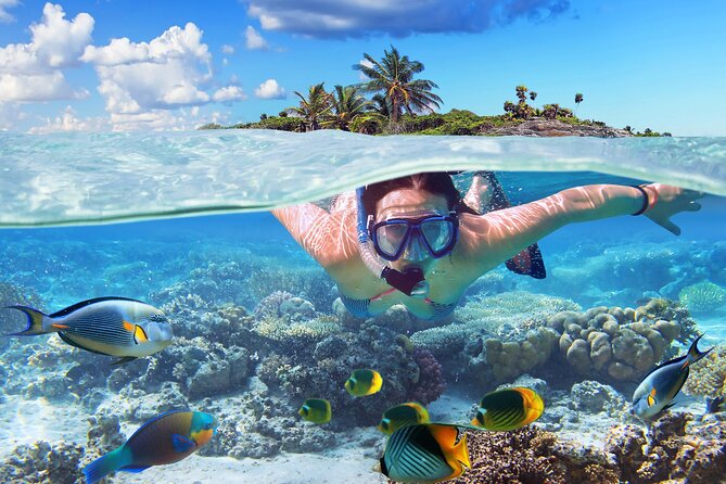 Snorkeling en Nassau — arrecifes de coral en aguas cristalinas de Bahamas