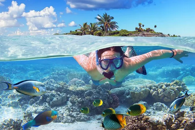 Snorkeling en Nassau — arrecifes de coral en aguas cristalinas de Bahamas
