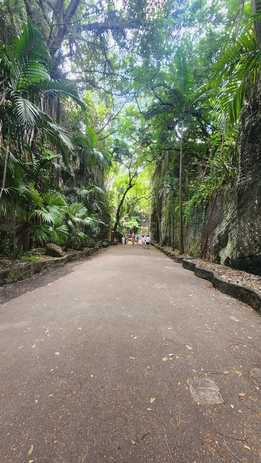 Queen's Staircase Nassau — vista completa de los 66 escalones