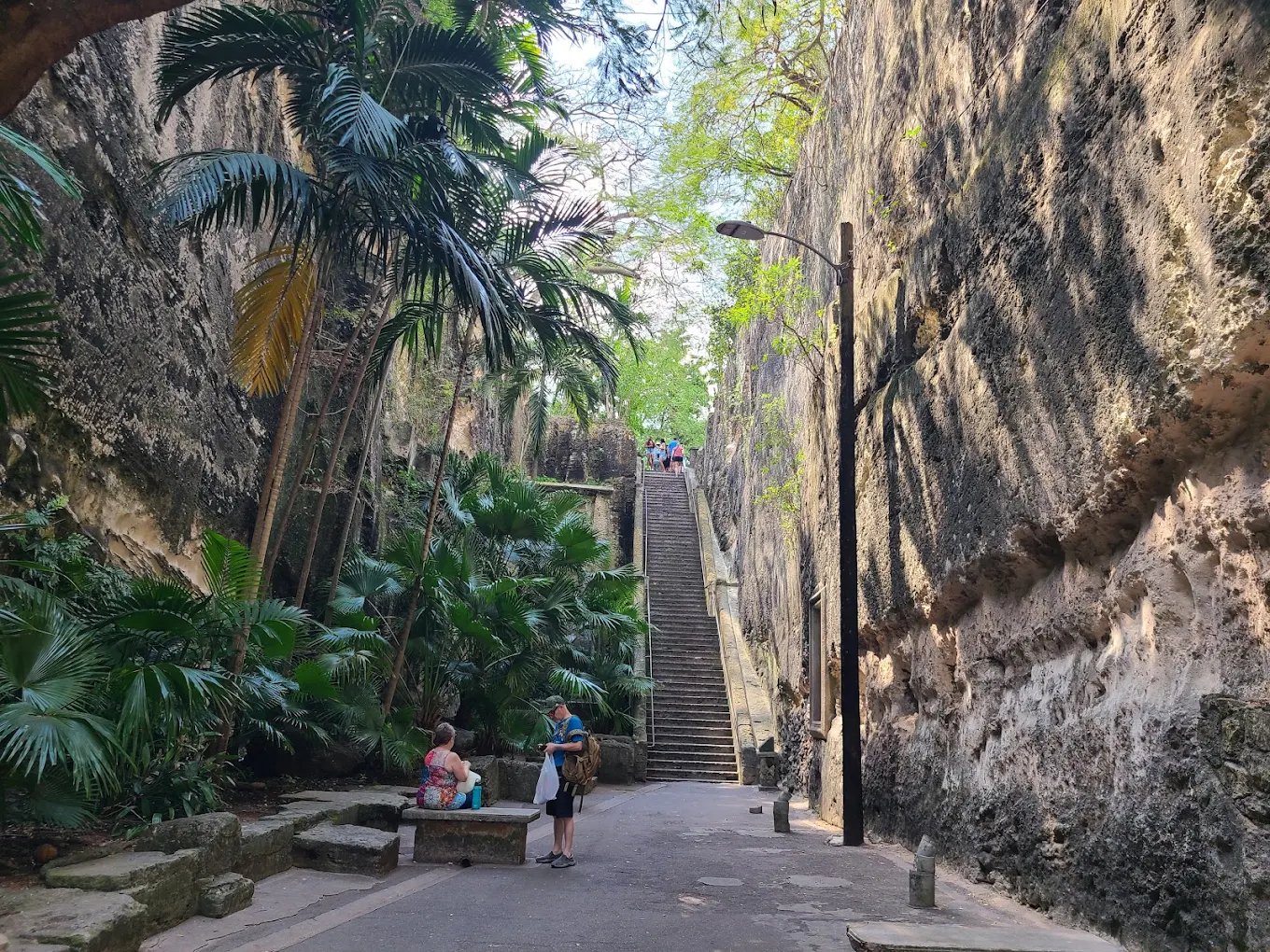 Queen's Staircase Nassau — 66 escalones tallados a mano en roca caliza